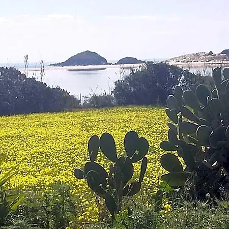 L'onda Blu