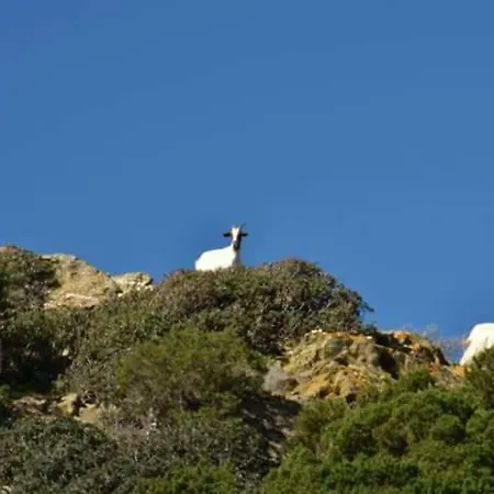 Bed & Breakfast L'onda Blu 3*