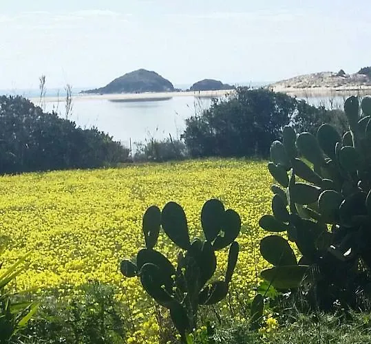 L'onda Blu 3* Domus De Maria