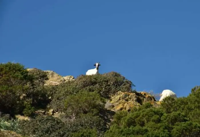 Bed & Breakfast L'onda Blu 3*